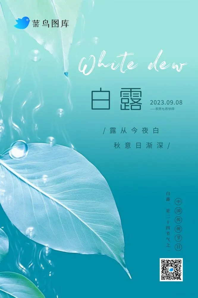 白露青色露珠透明树叶创意清新节气海报(2362x3543)psd模版下载