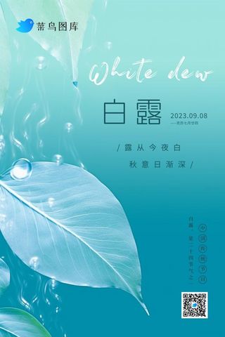 白露青色露珠透明树叶创意清新节气海报