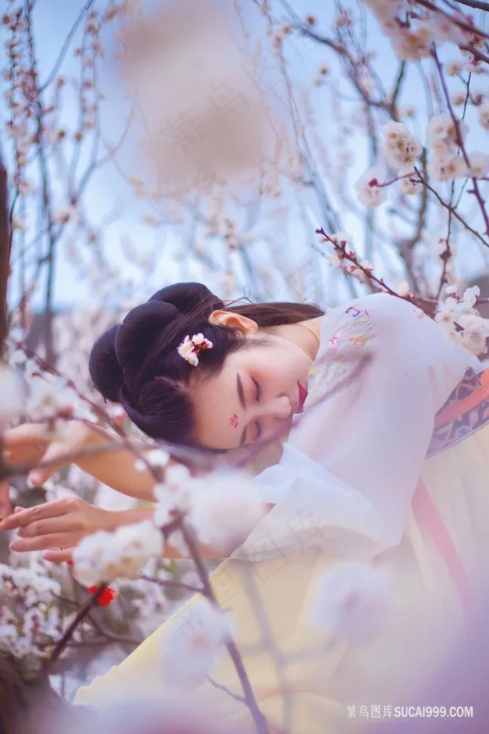 户外梅花林里的古装美女摄影图片