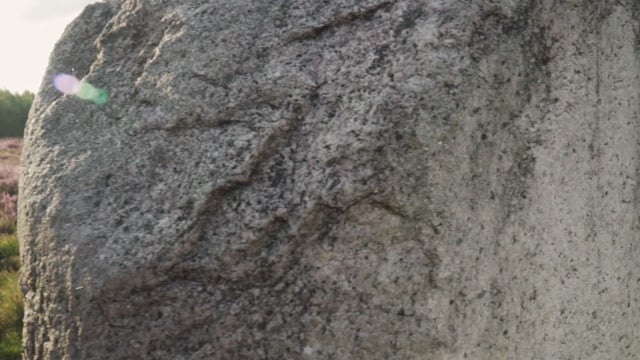 石头, 紫色的, 自然, 夏天, 盛开, 植物, 薰衣草