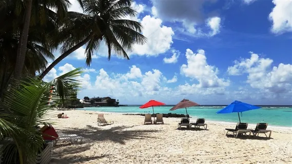 巴巴多斯沙滩风光