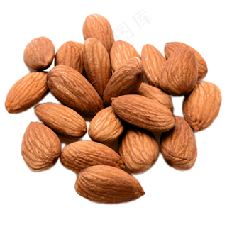 扁口核桃免抠图片