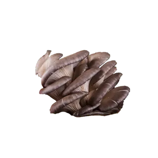 棕色蔬菜菌类香菇菇类鲜嫩多汁新鲜免扣