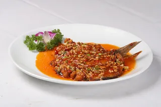 37 佛手鱼－冠军