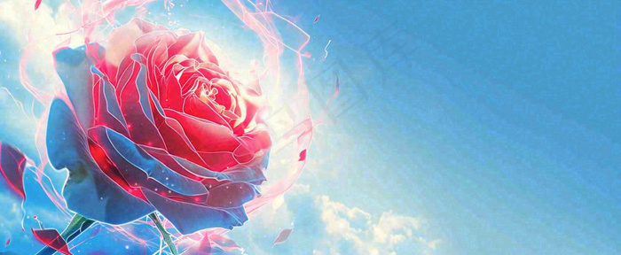 红玫瑰蓝色天空白云唯美，鲜花