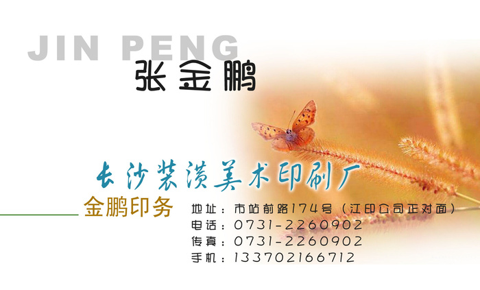 名片模板PSDpsd模版下载