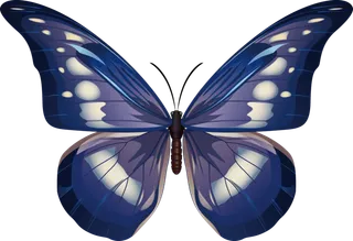 卡通动画动画蝴蝶免扣PNG手绘插画图片素材 (45)