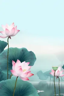 国潮荷花插画背景