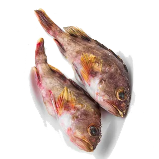 石斑鱼海鲜超市商品红酒白底图免抠实物摄影png格式图片透明底