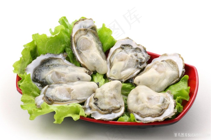 海鲜生蚝图片