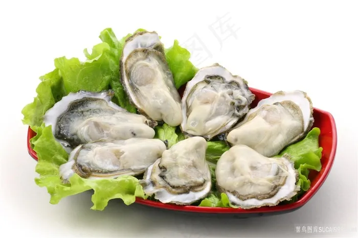 海鲜生蚝图片