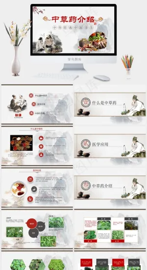 中药中医治病PPT模板ppt模版预览图