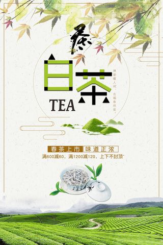 早春新茶上市茶叶海报铁观音白茶茶厂宣传PSD模式PS设计素材