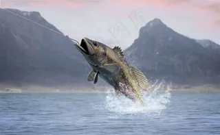 钓鱼用具用品出水的鱼图片