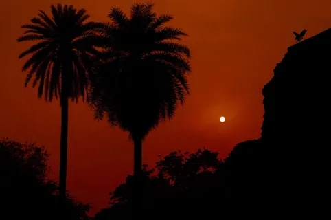 夕阳剪影风景图片 夕阳剪影风景图片