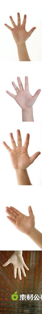 手掌手势素材