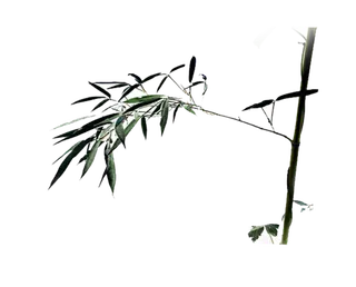 竹子水墨画中国风国画墨水书法竹子画