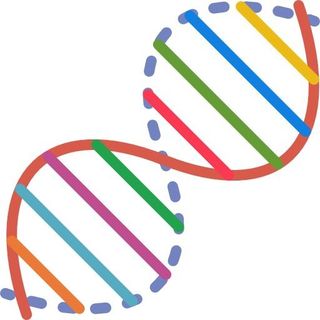 DNA免抠