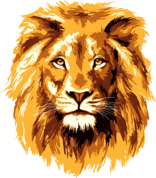 狮子卡通绘画