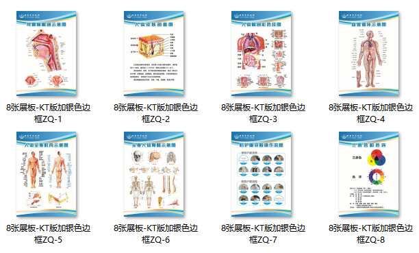 人体组织详细海报展板cdr矢量模版下载