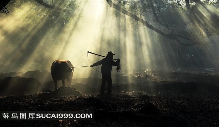 福建淳朴的杨家溪人文风景图