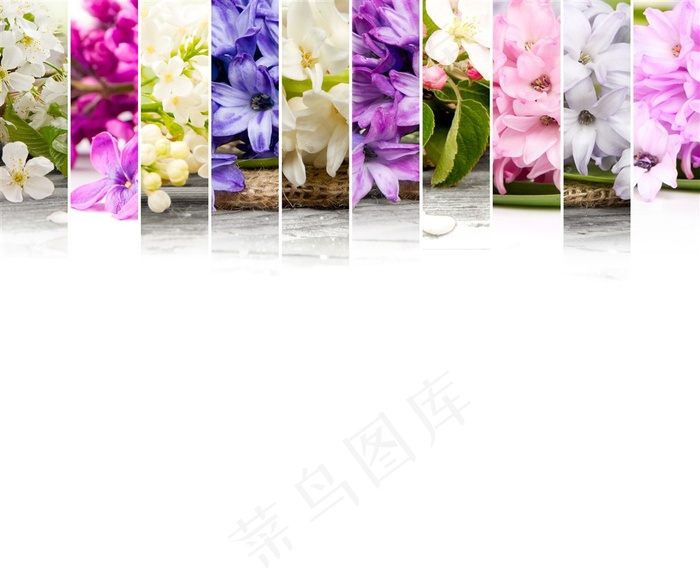 唯美的花背景图片