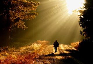 晨曦晚霞图片霞光摄影图片