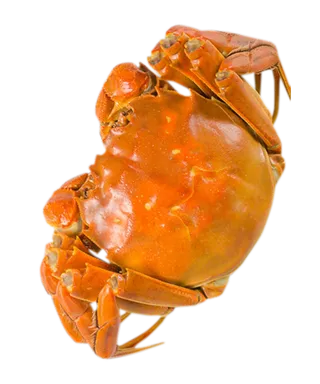 海鲜螃蟹素材免扣