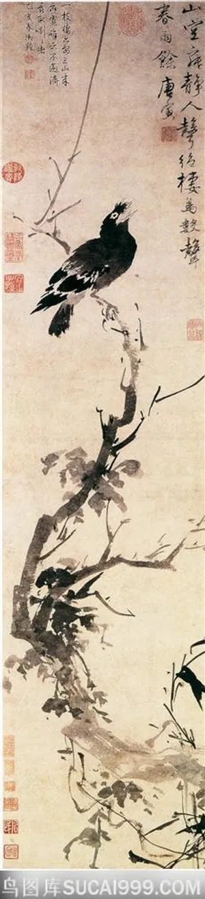 花鸟篇-唐寅《枯槎鹧鸪图》 花鸟篇-唐寅《枯槎鹧鸪图》