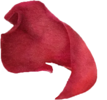 花瓣花朵免扣图片  花瓣花朵免扣图片