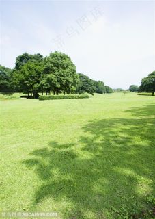 草地天空-嫩绿的草地