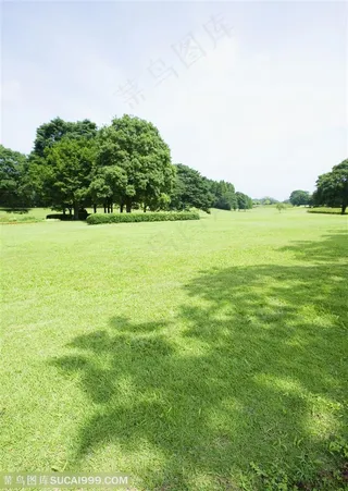 草地天空-嫩绿的草地