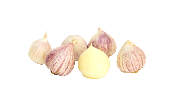 独头蒜超市商品白底图免抠实物摄影png格式图片透明底