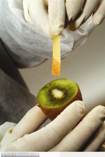 生物技术-测试猕猴桃PH值