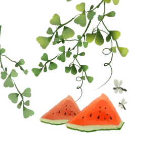 唯美二十四节气夏季插画元素