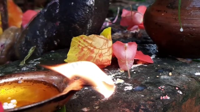 自然, 自然共鸣, 爱, 朋友们, 呼吸, 积极的, 生活