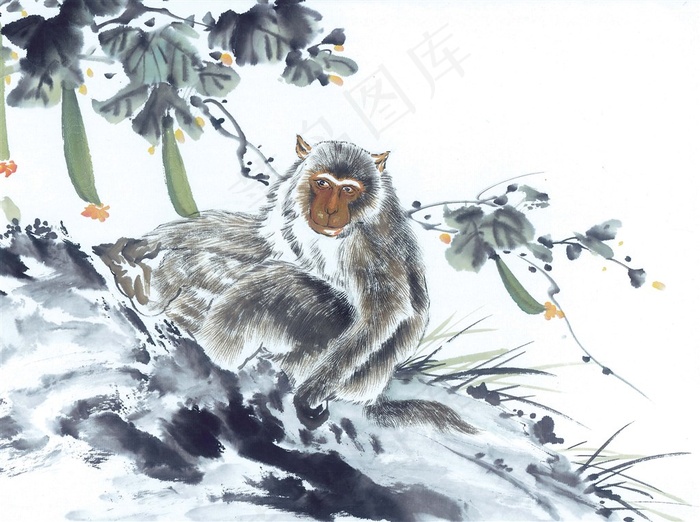 生肖动物国画图片美图素材