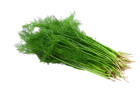 茴香 (2)超市商品白底图免抠实物摄影png格式图片透明底