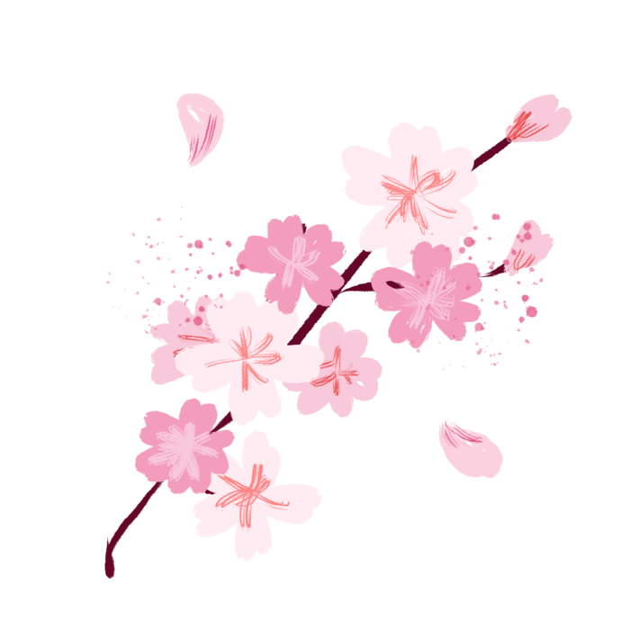 春天浪漫粉红色樱花手绘樱花梅花桃花花朵图片PNG免扣素材