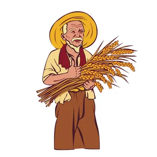 稻谷人物老爷爷抱着稻谷
