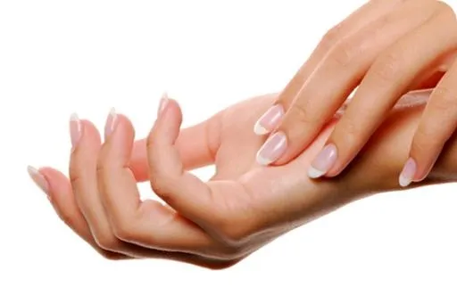 指甲 PNG免抠(550x346)