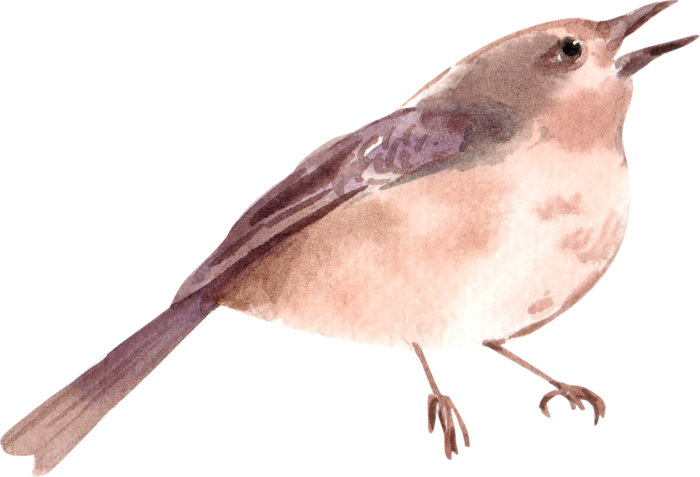 插画免抠高清素材