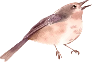 插画免抠高清素材