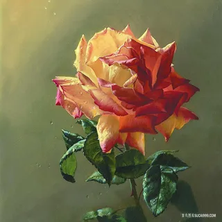 唯美花卉花束油画