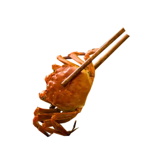 新鲜的大闸蟹免扣素材