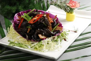 LCH2120天府蝴蝶参