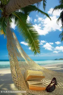 海滩边的吊床风景图片