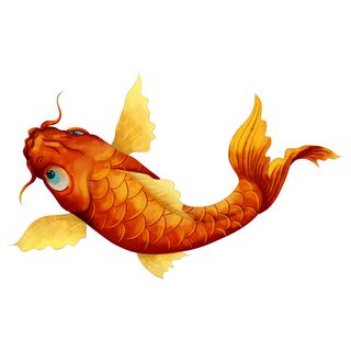 手绘烫金国潮中国风卡通锦鲤鱼金鱼插画装饰元素PSD设计素材