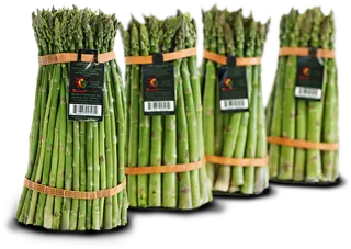 秋葵蔬菜绿色素材现代农业