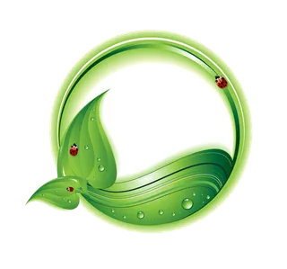 绿色叶子圆环装饰卡通